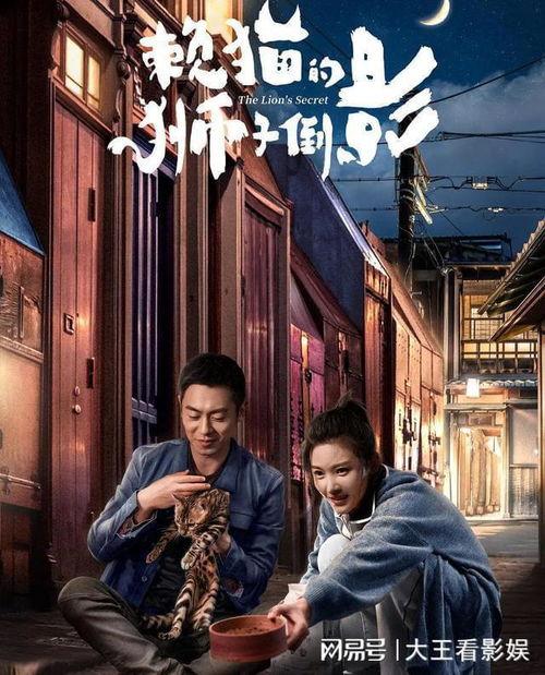 赖猫的狮子倒影,探寻奇幻世界的神秘魅力